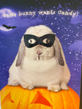 Bunny Wants Candy Halloween Card