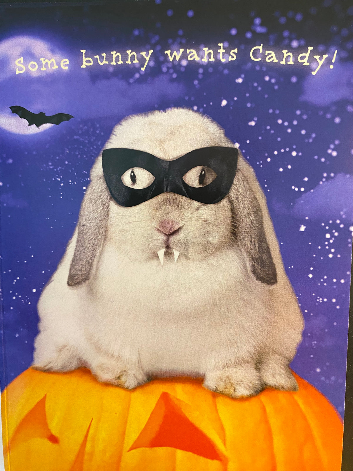 Bunny Wants Candy Halloween Card