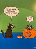 Cat in Pumpkin