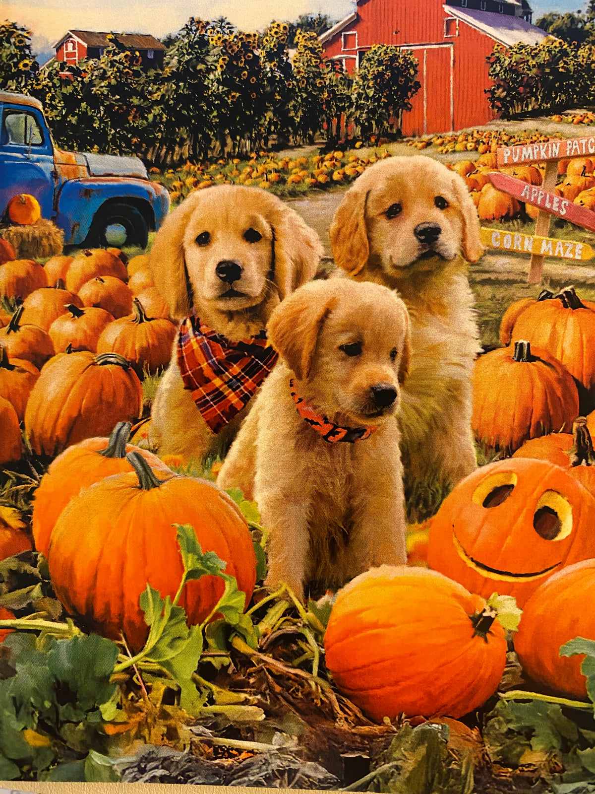 Puppies & Pumpkins