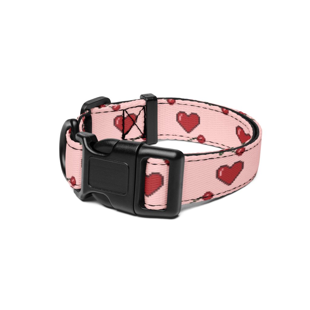 pet collar white s front 688fd668a6f0a