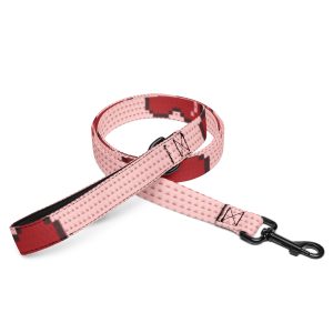 Pet leash