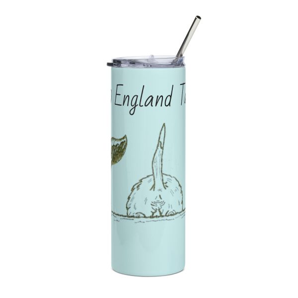 Stainless steel tumbler