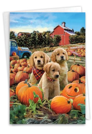 Pumpkin Puppies - Farm