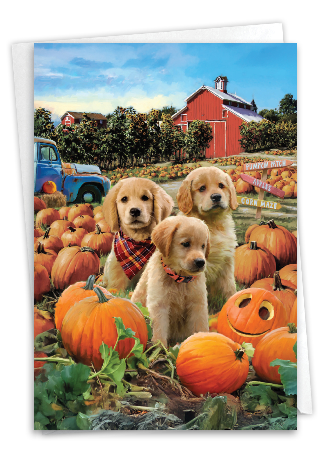 Pumpkin Puppies - Farm
