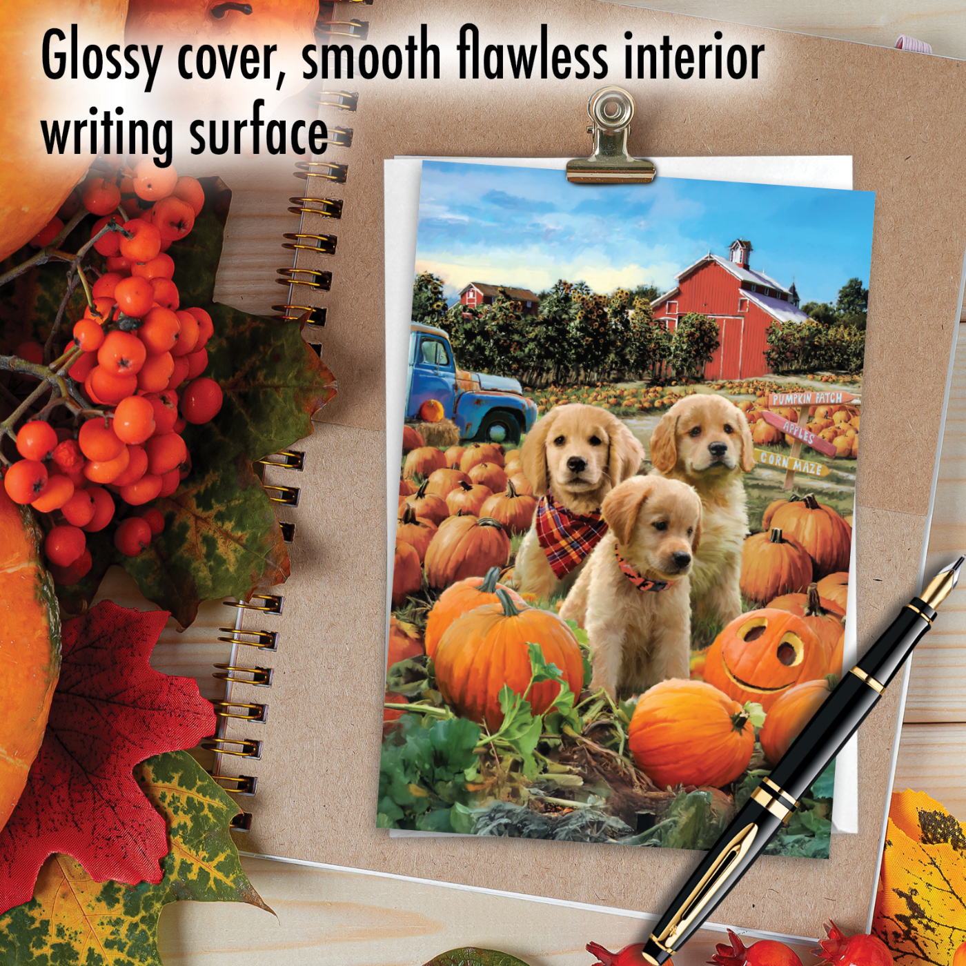 Pumpkin Puppies - Farm - Image 4