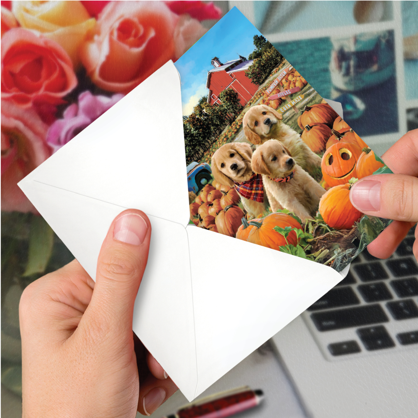 Pumpkin Puppies - Farm - Image 6