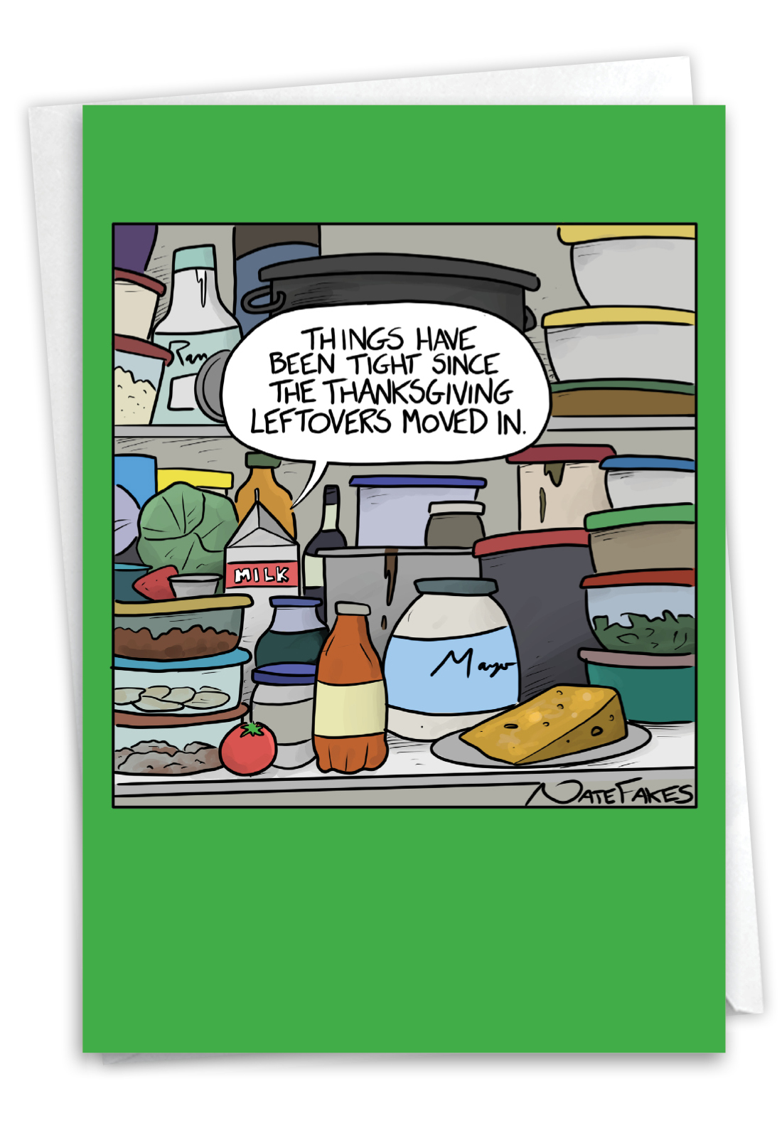 Refrigerator Leftovers