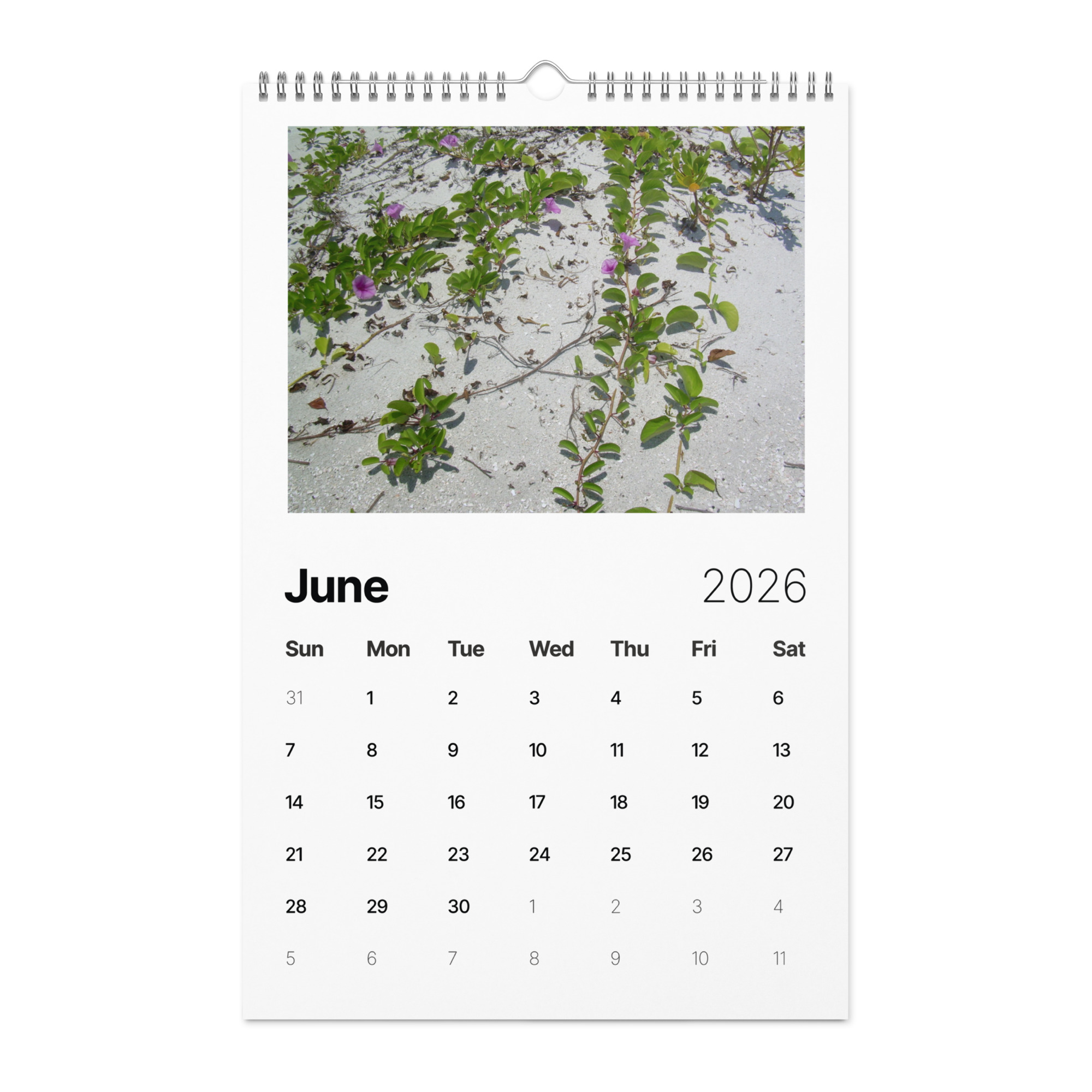 Wall calendar (2026) - Image 21
